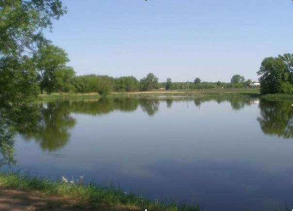 Кам'янка з panoramio.com - Kamyanka