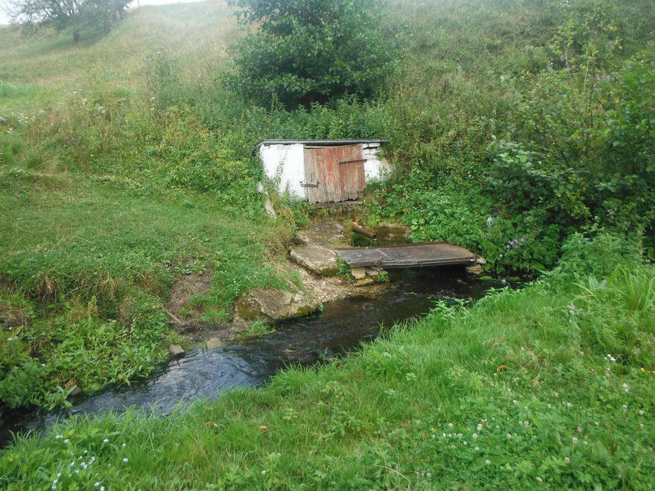 До дому, до мами, в Золотий Потік!!! - Золотий Потік