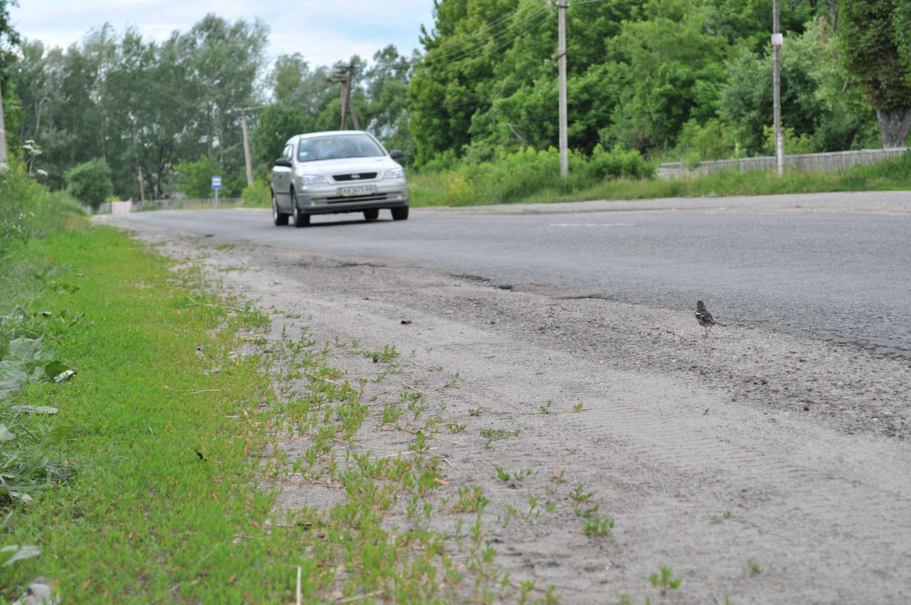 Соловіївка - Соловеевка