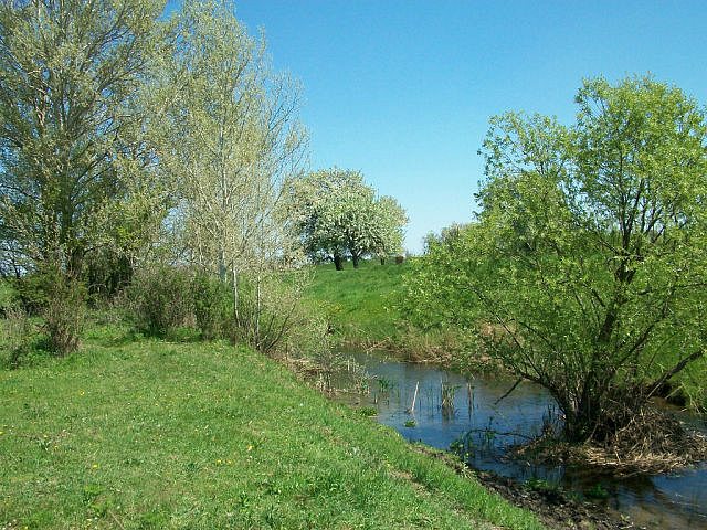 TERNOWKA.UA - Велика Тернівка