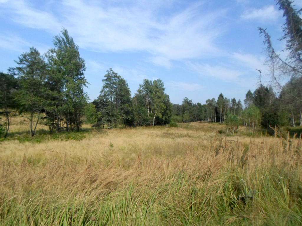 Краєвид - Угільня