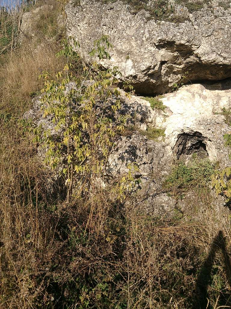 Кельменці - Кельменці