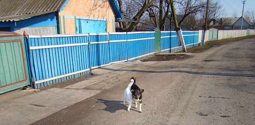 Наші фото - Іскрене