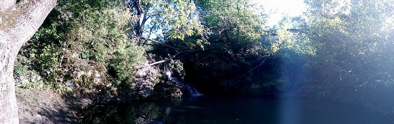 Кельменці - Кельменці