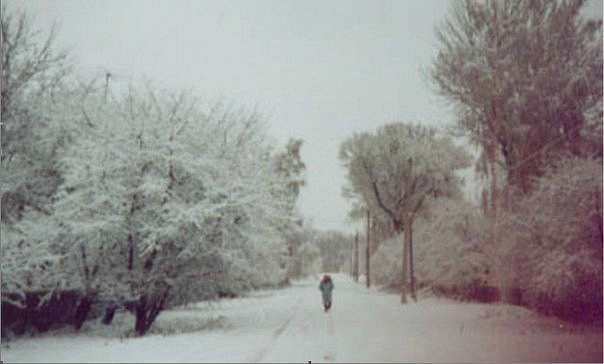 Кам'янка з panoramio.com - Кам'янка