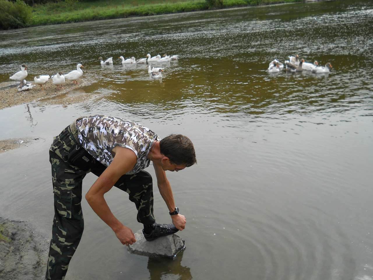 Мислятин - Мислятин