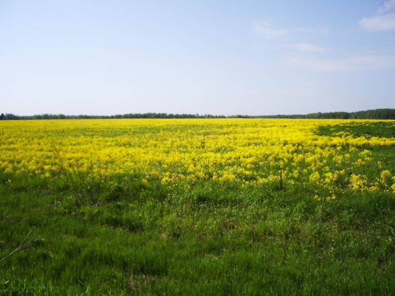 моя Родина - Новоахтырка