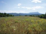 Партизанське з panoramio.com