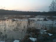 Старикове з panoramio.com