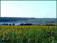 Глибоке з panoramio.com