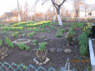 Григоровичі з panoramio.com