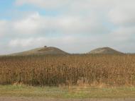 Новоолександрівка з panoramio.com