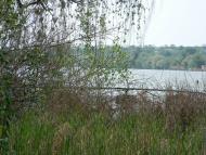 Вільнокур'янівське з panoramio.com