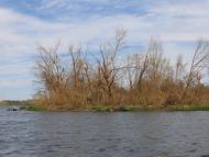 Кам'яні Потоки з panoramio.com