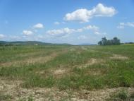 Боржава з panoramio.com