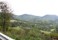 Ужок з panoramio.com