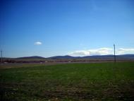 Добролюбовка - Останні фото