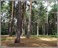 Тур з panoramio.com