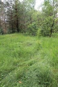 Куліші з panoramio.com