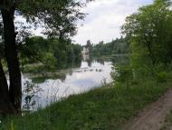 Осички з panoramio.com