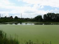 Щирець з panoramio.com