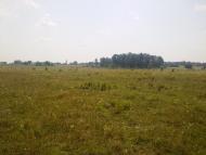 Нові Серби - Останні фото