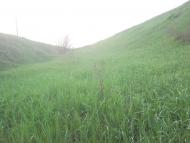 Високопілля - Останні фото