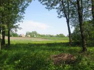 Черепашинці з panoramio.com