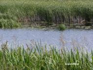 Тур з panoramio.com