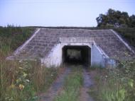 Заворичі з panoramio.com