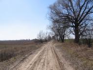 Товстоліс з panoramio.com