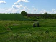 Першотравенськ з panoramio.com