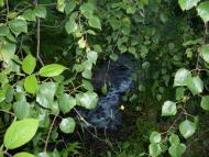 Смереково з panoramio.com