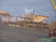 Волошине з panoramio.com