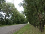 Королівка з panoramio.com