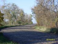 Дубова з panoramio.com