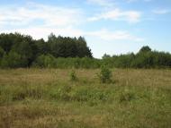 Михайло-Коцюбинське з panoramio.com