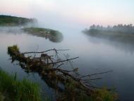 Карпилівка з panoramio.com