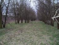 Привілля з panoramio.com