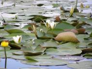 Тур з panoramio.com