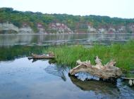 Межигір з panoramio.com