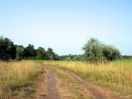 Радушне з panoramio.com