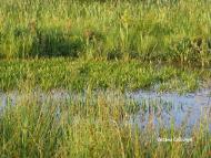 Тур з panoramio.com