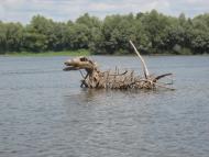 Новосілки з panoramio.com