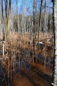 Забужжя з panoramio.com