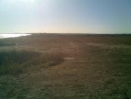 Приморський Посад з panoramio.com