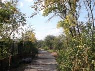 Хащеве з panoramio.com