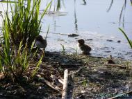 Тур з panoramio.com