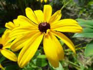 Журавичі з panoramio.com