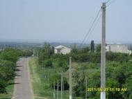 Гребеники з panoramio.com